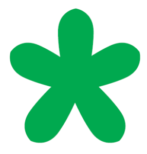 NN