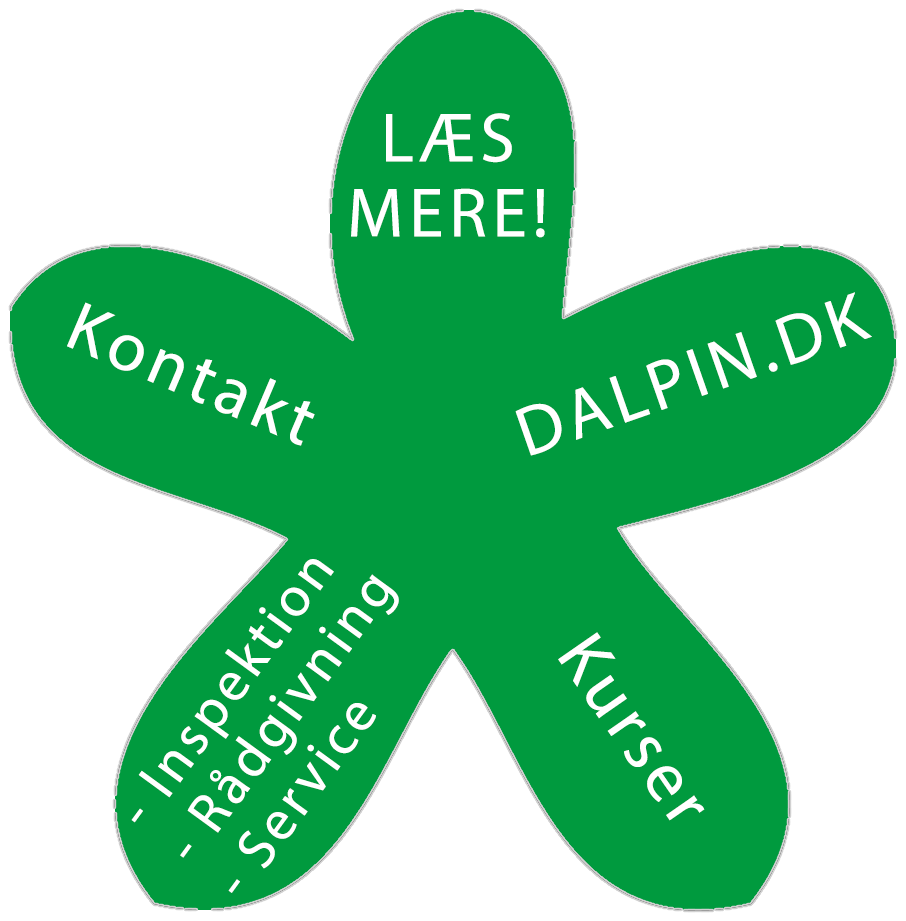 Stjerne